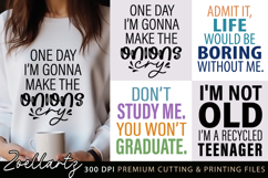 Funny Sarcastic Quote Bundle Funny SVG Cut Files Sarcasm SVG Product Image 4