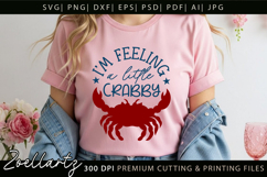 Funny Quote Don't Be Crabby SVG Funny Sarcastic SVG Cut File Product Image 2