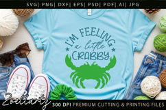 Funny Quote Don't Be Crabby SVG Funny Sarcastic SVG Cut File Product Image 4