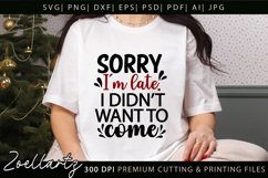 Funny Quote SVG PNG DXF EPS Funny Sarcastic SVG for Cricut Product Image 2