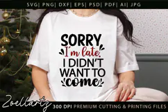 Funny Quote SVG PNG DXF EPS Funny Sarcastic SVG for Cricut Product Image 2