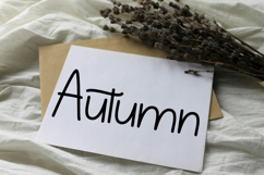 Austina Handwritten Product Image 6