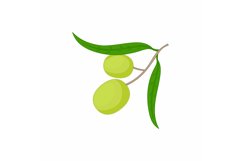 Olives on branch with leaves icon, cartoon style Product Image 1