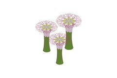 Botanical garden in Singapore icon Product Image 1