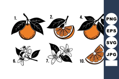 Orange fruit with leaves and blossom vector set showing whol Product Image 1