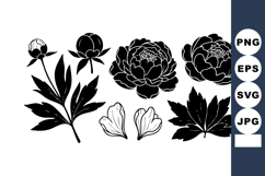 Black silhouette peony flower vector set with leaves petals Product Image 1