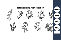 Botanical line art collection with various flowers and plant Product Image 1