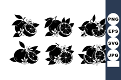 Black silhouette orange fruit with blossoms and leaves vecto Product Image 1