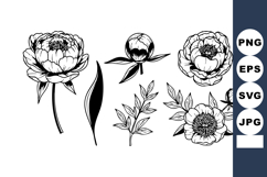 Peony flowers with leaves and buds detailed black line art v Product Image 1