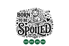 Hand Drawn Cute Cat Born To Be Spoiled Graphic Product Image 1