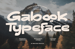 Gabook Playful Soft Display Typeface Product Image 1