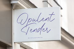 Gafisha Lindiaki - Stylish Handwritten Font Product Image 15