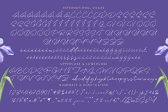 Gafisha Lindiaki - Stylish Handwritten Font Product Image 18