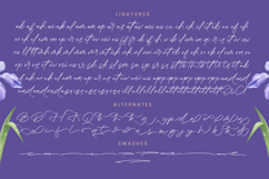 Gafisha Lindiaki - Stylish Handwritten Font Product Image 19