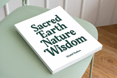 Gafjust Minfine - Modern Serif Display Product Image 2