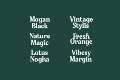 Gafjust Minfine - Modern Serif Display Product Image 9