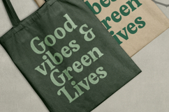 Gafjust Minfine - Modern Serif Display Product Image 10