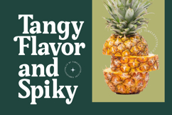 Gafjust Minfine - Modern Serif Display Product Image 13