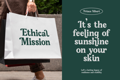 Gafjust Minfine - Modern Serif Display Product Image 15