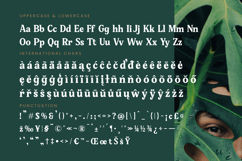 Gafjust Minfine - Modern Serif Display Product Image 19