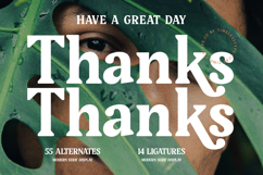 Gafjust Minfine - Modern Serif Display Product Image 20