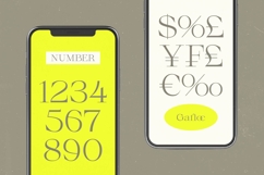 Gafloc Thin Serif Display Product Image 3