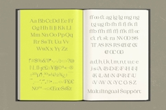 Gafloc Thin Serif Display Product Image 14
