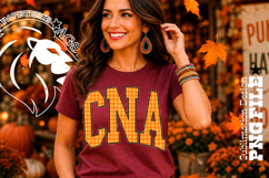 Fall Gingham Leopard CNA, DTF Design Product Image 2