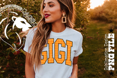 Fall Gingham Leopard Gigi, DTF Design, PNG Product Image 6
