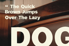 Galina Reany Bold Retro Display Font Product Image 3