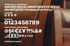 Galina Reany Bold Retro Display Font Product Image 6