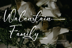 Gamlowfei | Elegant Signature Product Image 4