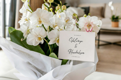 Gamlowfei | Elegant Signature Product Image 5