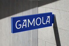 Gamola Luxury Bold Corporate Sans Serif Product Image 7