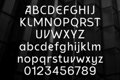 Gamola Luxury Bold Corporate Sans Serif Product Image 9