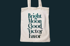 Garaleo - Modern Serif Font Product Image 7