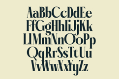 Garaleo - Modern Serif Font Product Image 14