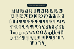 Garaleo - Modern Serif Font Product Image 18