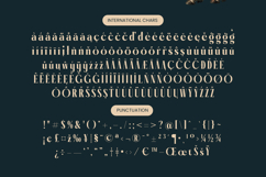 Garaleo - Modern Serif Font Product Image 19