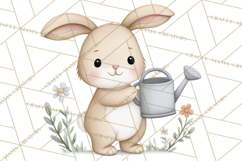 Garden Animals Clipart PNG for Spring Crafts Product Image 2