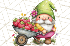 Mischievous Gnome Clipart, Whimsical Garden Clip Art PNG Product Image 5