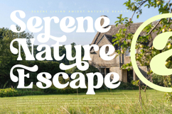 Garden Delight Modern Retro Serif Product Image 13