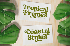 Garden Delight Modern Retro Serif Product Image 14