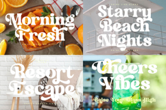 Garden Delight Modern Retro Serif Product Image 16