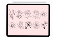 Garden Flowers Procreate Stamps - Procreate Brushes