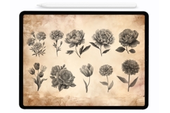 Garden Flowers Procreate Stamps - Procreate Brushes