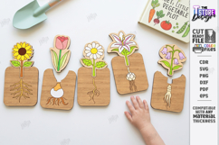 Educational Plant Growth Lifecycle Puzzles Laser Cut Bundle Product Image 21