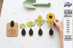 Educational Plant Growth Lifecycle Puzzle Laser Cut | Kids Product Image 1