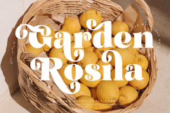 Garden Rosila - Modern Retro Serif Font Product Image 1