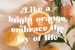 Garden Rosila - Modern Retro Serif Font Product Image 4